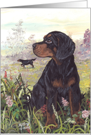 Gordon Setter Dog Card