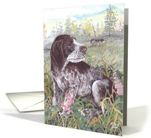 German Wirehaired Pointer Dog card (1285918)