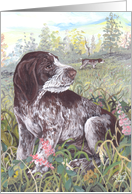 German Wirehaired Pointer Dog Card