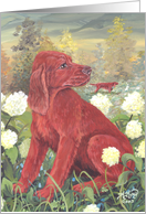 Irish Setter Dog Card