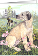 Irish Wolfhound Dog Card
