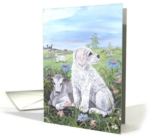 Komondor Dog card (1285926)