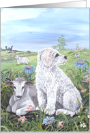 Komondor Dog Card