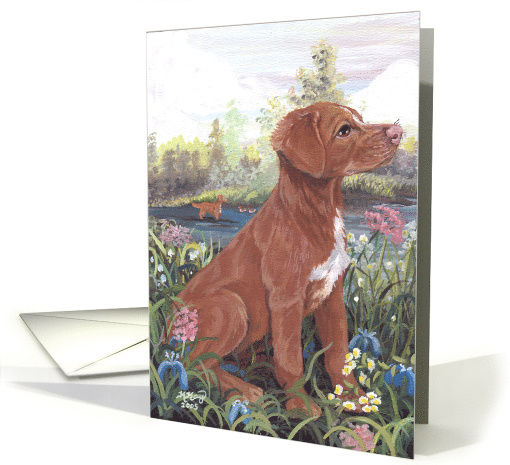Nova Scotia Duck Tolling Retriever Dog card (1285930)
