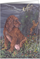 Plotthound Coonhound Dog Card