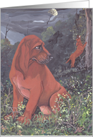Redbone Coonhound Dog Card