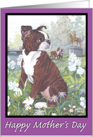 Boston Terrier Puppy Dreamer Mother’s Day card