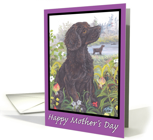 Boykin Spaniel Puppy Dreamer Mother's Day card (183012)