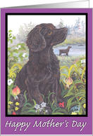 Boykin Spaniel Puppy Dreamer Mother’s Day card