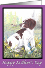 Brittany Spaniel Puppy Dreamer Mother’s Day card
