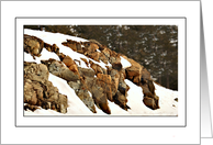 Winter card