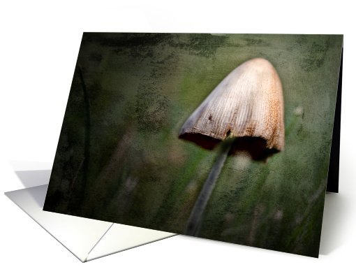 Mushroom, Fine Art Notecard card (184591)
