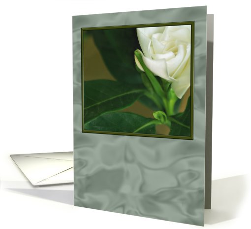 White Flower in Frame card (184697)