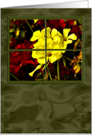 Yellow Flowers in Window card