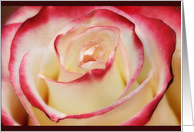Rose card
