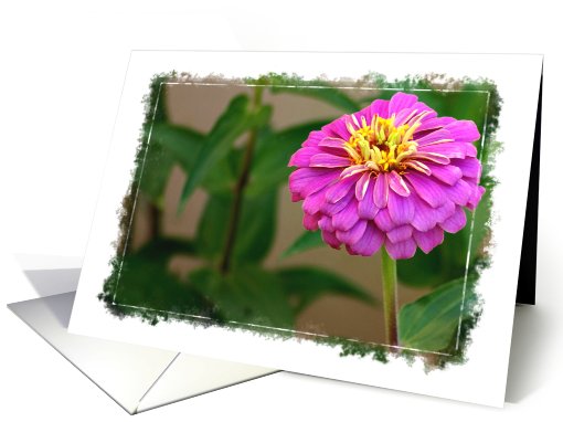 Pretty Pink Flower card (192284)
