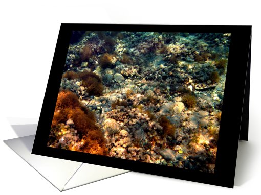 Seascape card (201152)