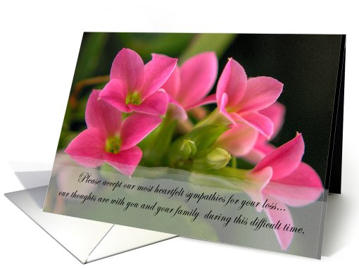 Our Sympathy card (255694)