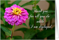 Thank You - While...