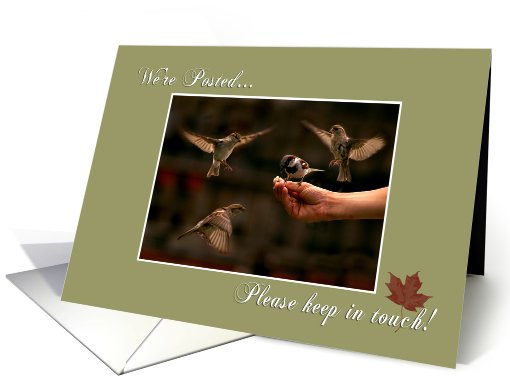We're Posted card (256265)