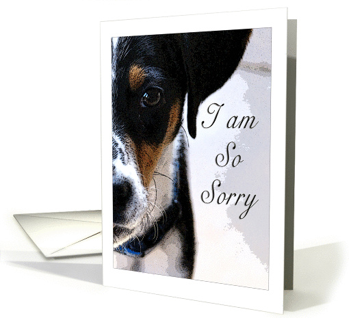 I am So Sorry card (259331)