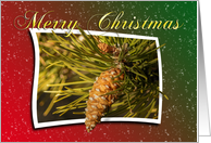 Merry Christmas Pine Cone card