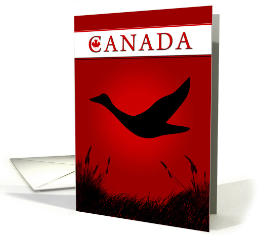 Canada card (365634)