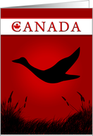 Canada card