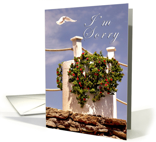 I'm Sorry card (369153)