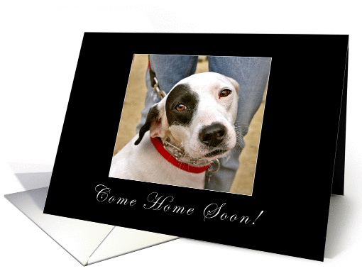 Come Home Soon card (369159)