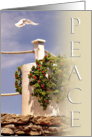 Peace card