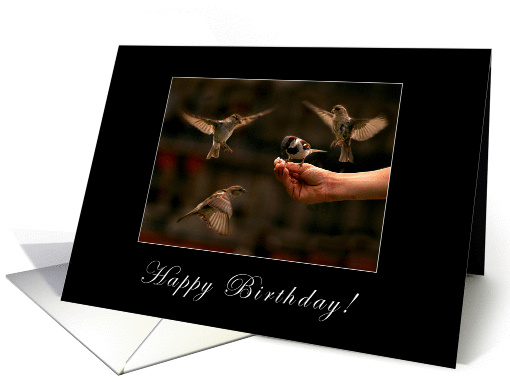 Happy Birthday card (369170)