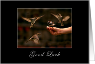 Good Luck! card