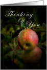 Thinking of You card