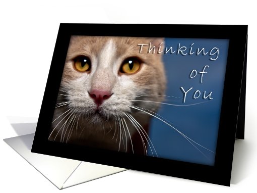 Thinking of You card (370272)