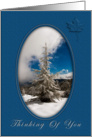 Thinking of You card