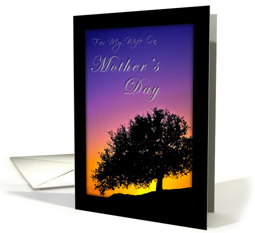 For My Wife on Mother`s Day card (370447)