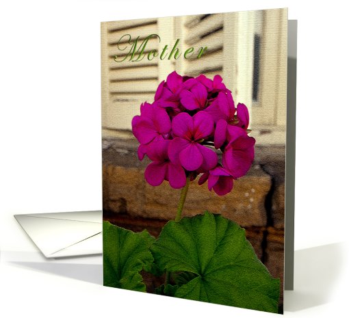 Mother on Mother's Day card (372738)