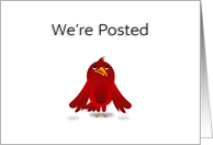 We’re Posted Cartoon Bird card
