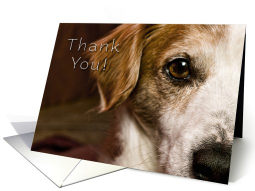 Thank You card (552433)