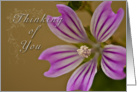 Thinking of you card
