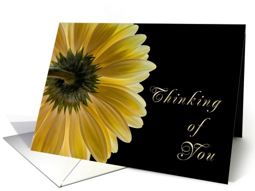 Thinking of You card (552439)