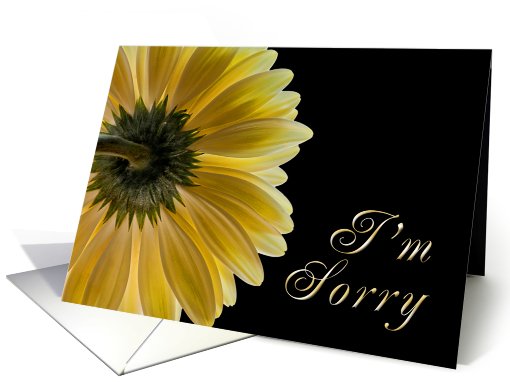 I'm Sorry card (552441)