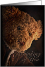 Thinking of You card