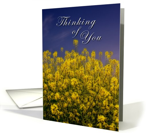 Thinking of You, yellow flowers card (614072)