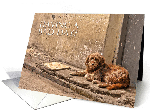 Having a bad day? -  Dog card (614760)