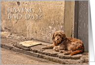 Having a bad day? - Dog card