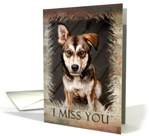 I Miss You, Dog card (614762)
