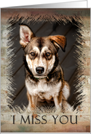I Miss You, Dog card