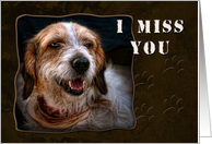 I Miss You, dog card